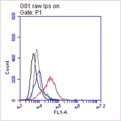 Extracellulair staining of overnight LPS stimulated RAW cells