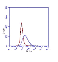 FC in RAW cells