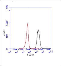 FC in Huvec cells