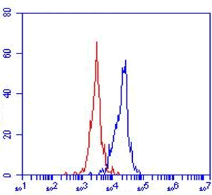 LOX-1, Human, mAb 23C11-0