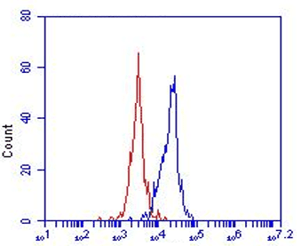 LOX-1, Human, mAb 23C11, biotinylated-0