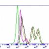 Calprotectin, Human, mAb 27E10, biotinylated-889