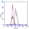 Flow cytometric detection of DNAM-1 in mouse splenocytes. Red, blue and black line represent IgG2b Isotype control, splenocytes stained with DNAM-1 clone TX92 and unstained splenocytes respectively.