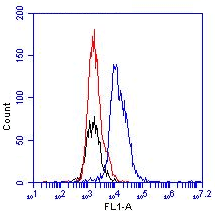 Flow cytometric detection of DNAM-1 in mouse splenocytes. Red, blue and black line represent IgG2b Isotype control, splenocytes stained with DNAM-1 clone TX92 and unstained splenocytes respectively.