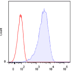 Flow cytometric detection of MCL in transfected BW5147 cells. Red and blue line represent IgG1 Isotype control and MCL stained cells respectively