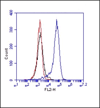 FC on RAW cells