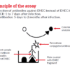 EcHECk, ELISA kit-1279