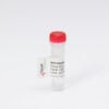 Hycult Biotech antibody vial