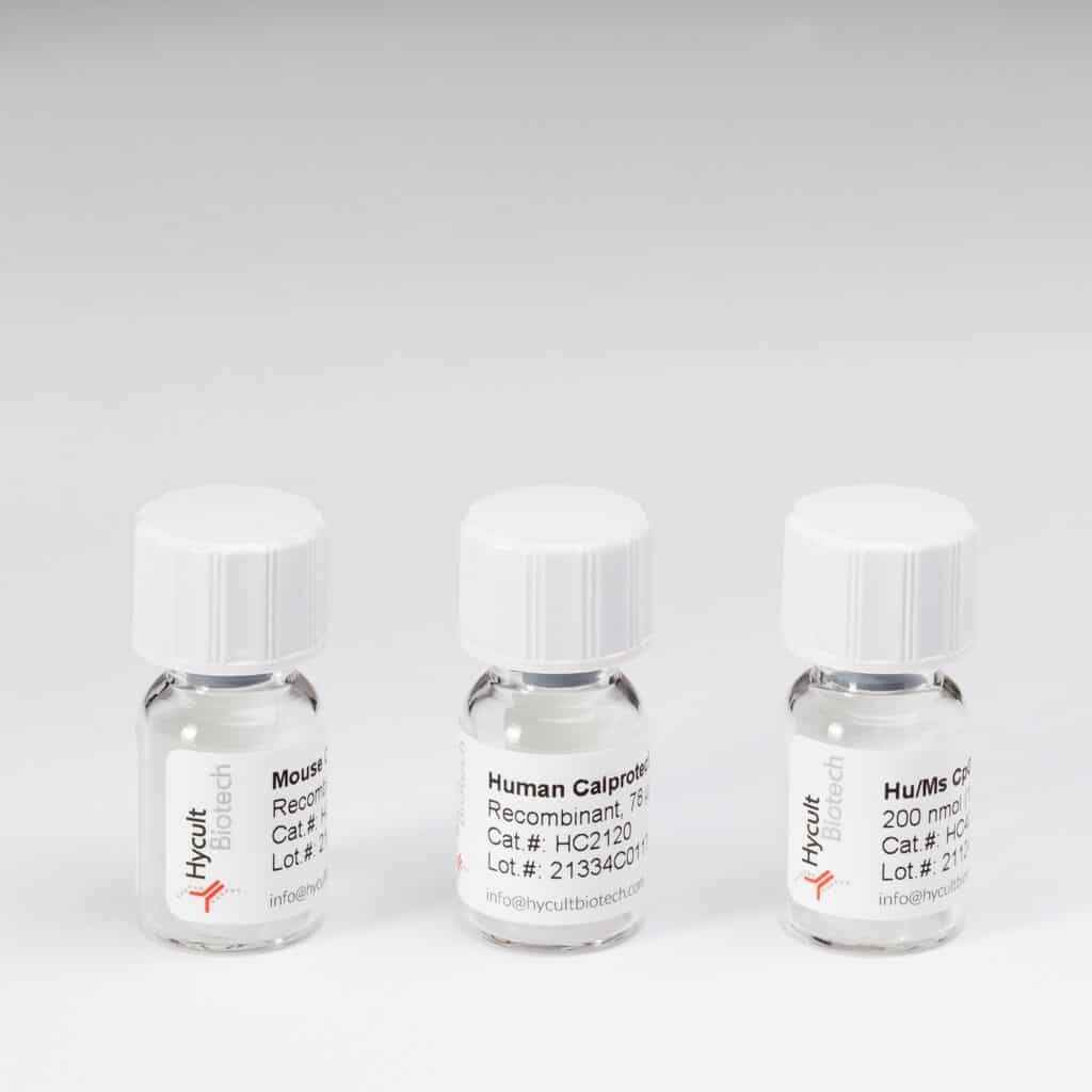 Freeze dried standard vials