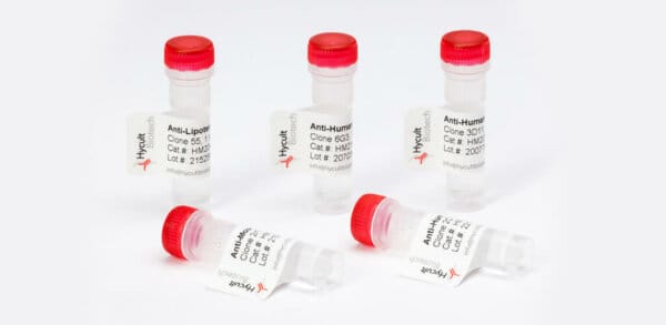 ELISA calculation sheet - Hycult Biotech