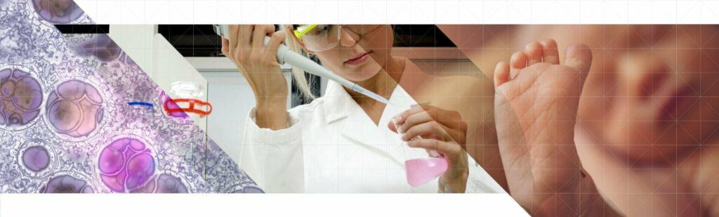 Hycult Biotech Pipetting