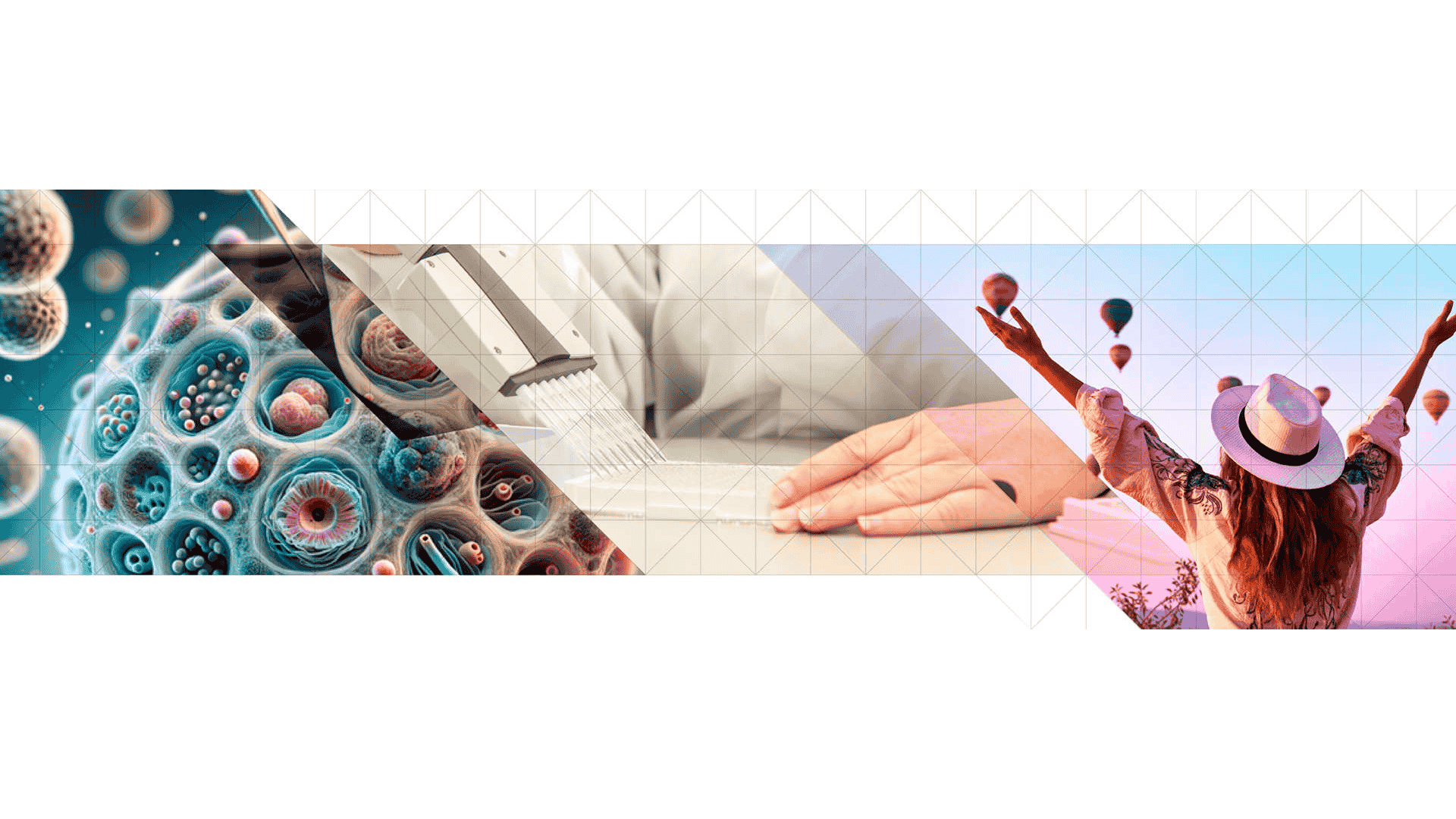Hycult Biotech Banner pipetting